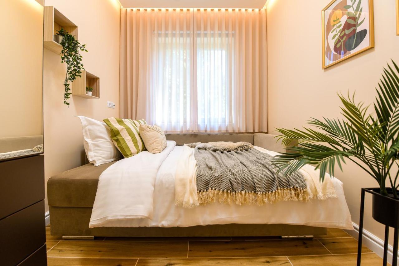 Green Leafy Brasov - Ideal 2 Bedroom Apartment Eksteriør bilde